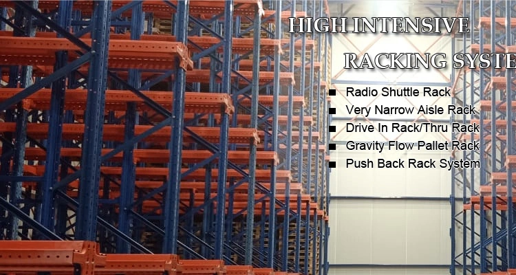 Warehouse International Drive in Racking with Cheap Price (EBIL-GTHJ)